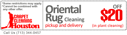 Area rug cleaning oriental rug