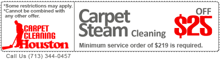 steam cleaning services